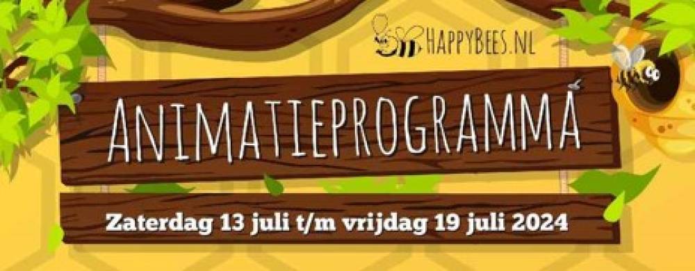 animatie programma 